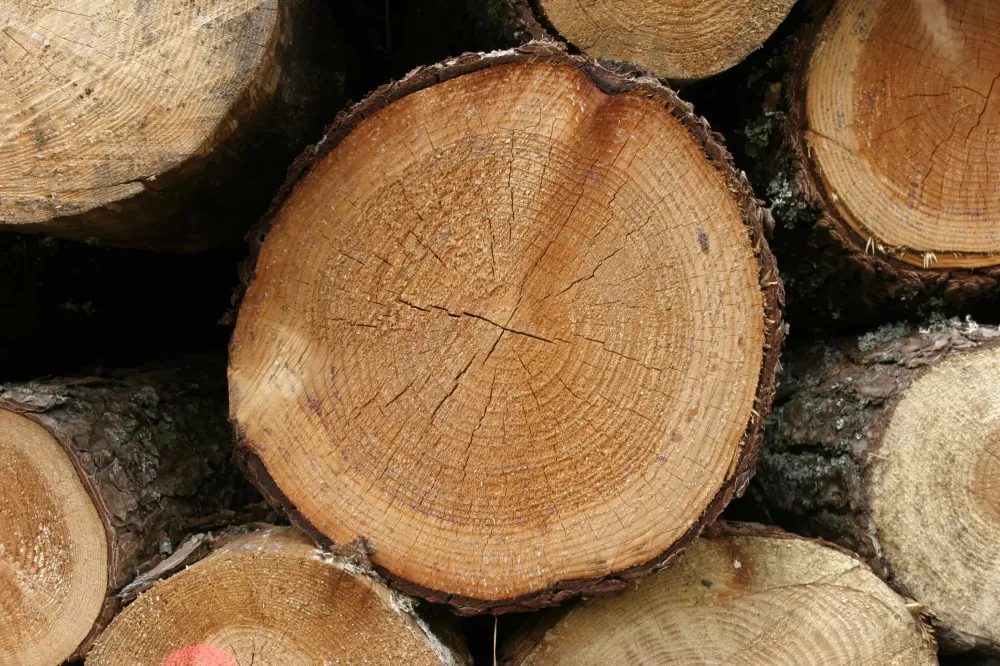 Bois compressé à Bain-de-Bretagne